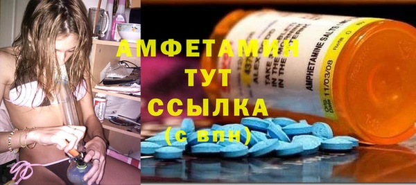 индика Аркадак
