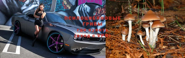 a pvp Баксан