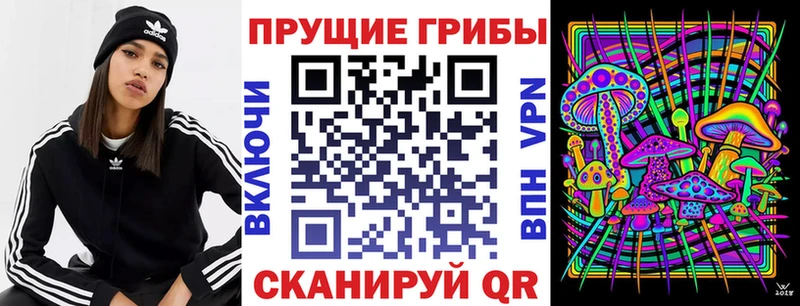 как найти закладки  Орёл  Галлюциногенные грибы Cubensis 